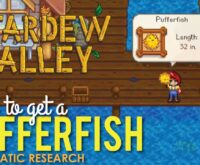 when to catch pufferfish stardew valley