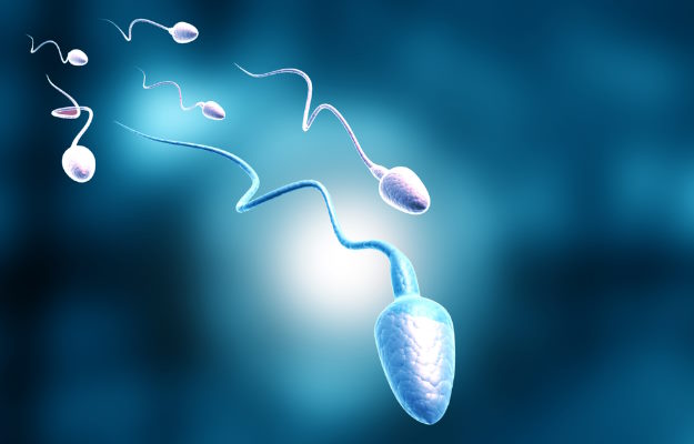 what happens if we release sperm daily